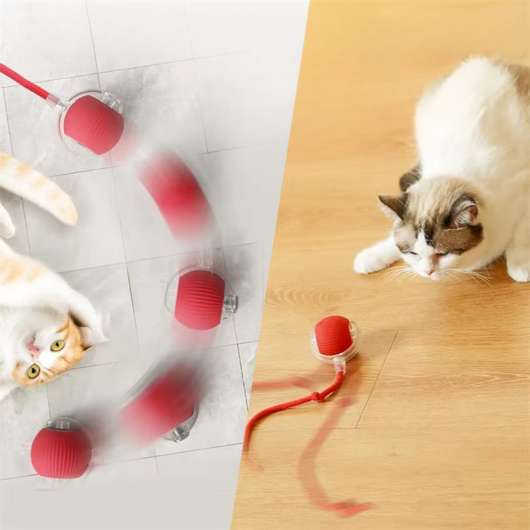 ChaseBall kattenspeelgoed - Bewegende bal met Licht voor Eindeloos Kattenplezier