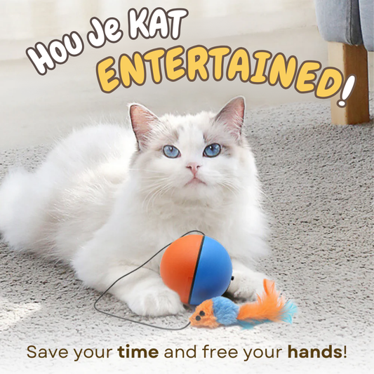 Turbobal kattenspeeltje Boa Fluffy muis
