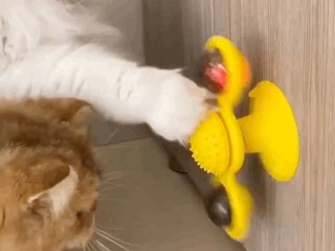 SpinChase - interactieve Bewegende kattenspeeltjes met Licht