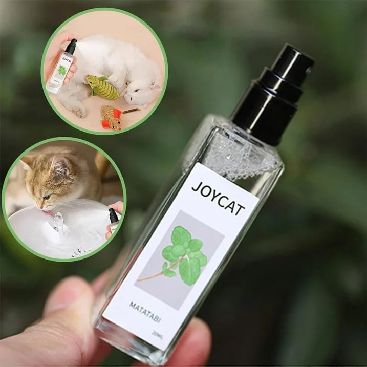 Kat kattenkruid Cupid Spray - maak je kat verliefd