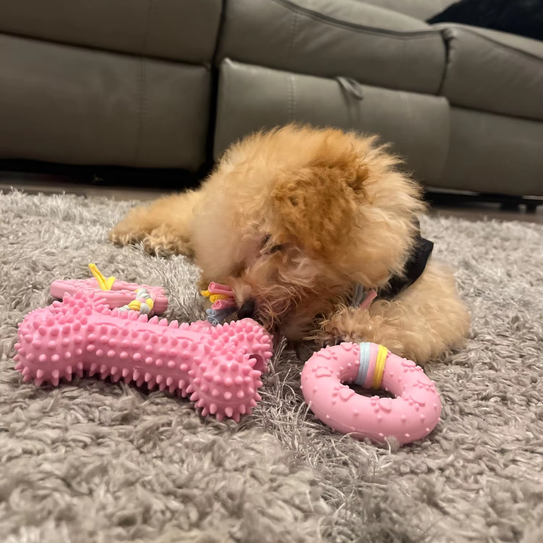 TPR Puppy hondenspeelgoed & Tandverzorging voor kleine honden