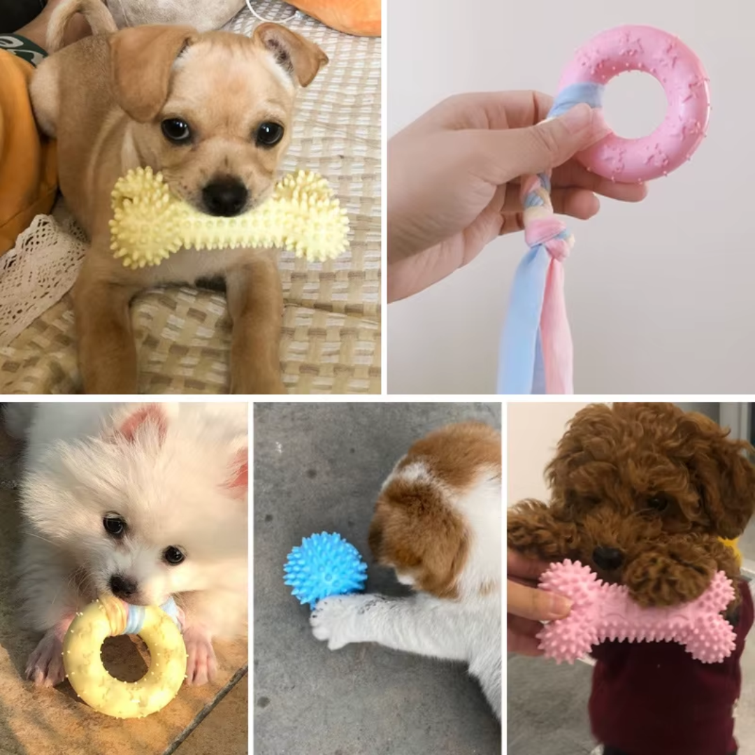 TPR Puppy hondenspeelgoed & Tandverzorging voor kleine honden