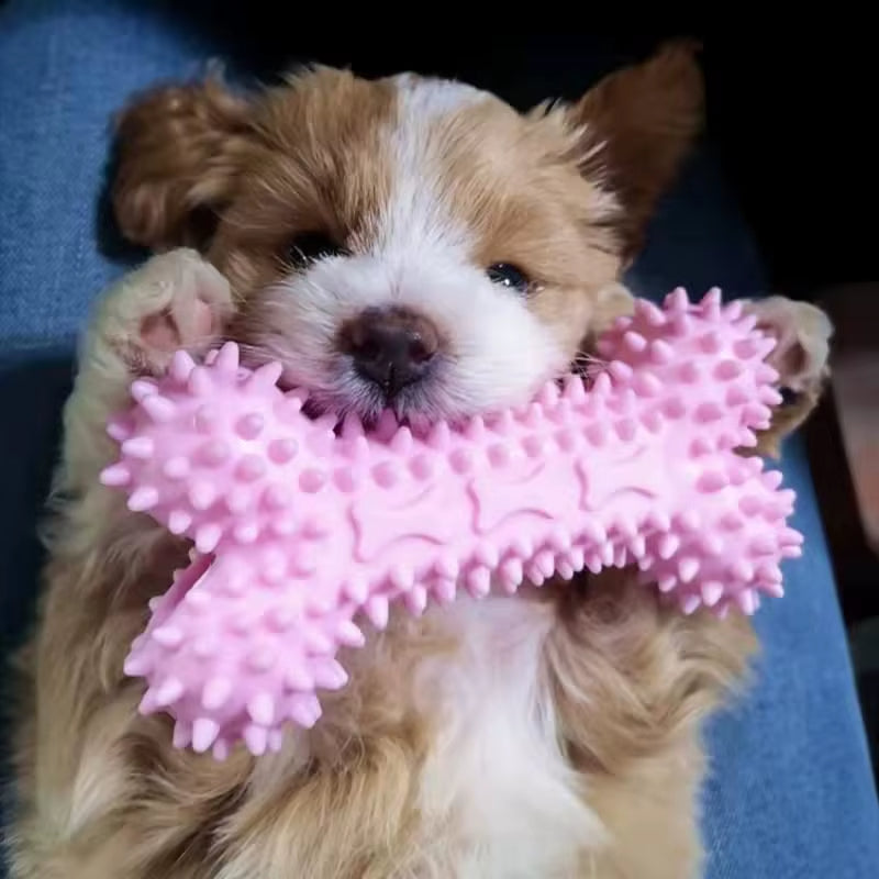 TPR Puppy hondenspeelgoed & Tandverzorging voor kleine honden