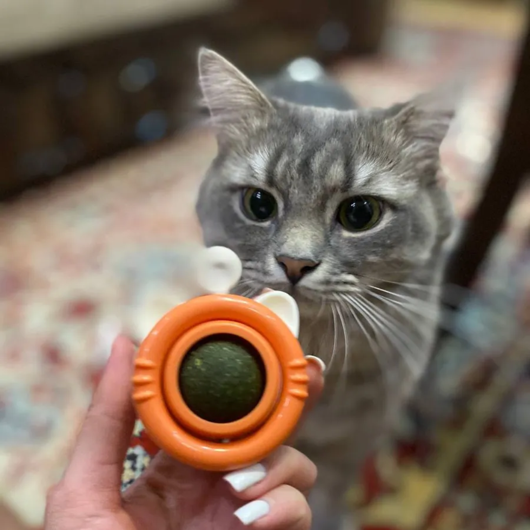 kattenkruid catnip bal kattenspeeltjes