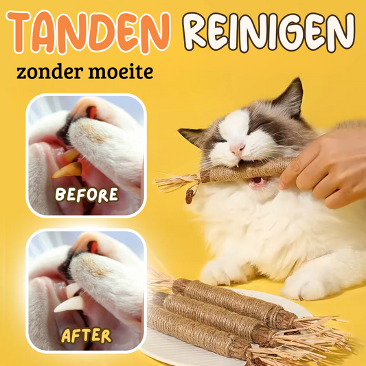 Natuurlijk kauw kattenspeeltjes Reinig de Tanden Natuurlijk met Matatabi, Hennep & Zeegras
