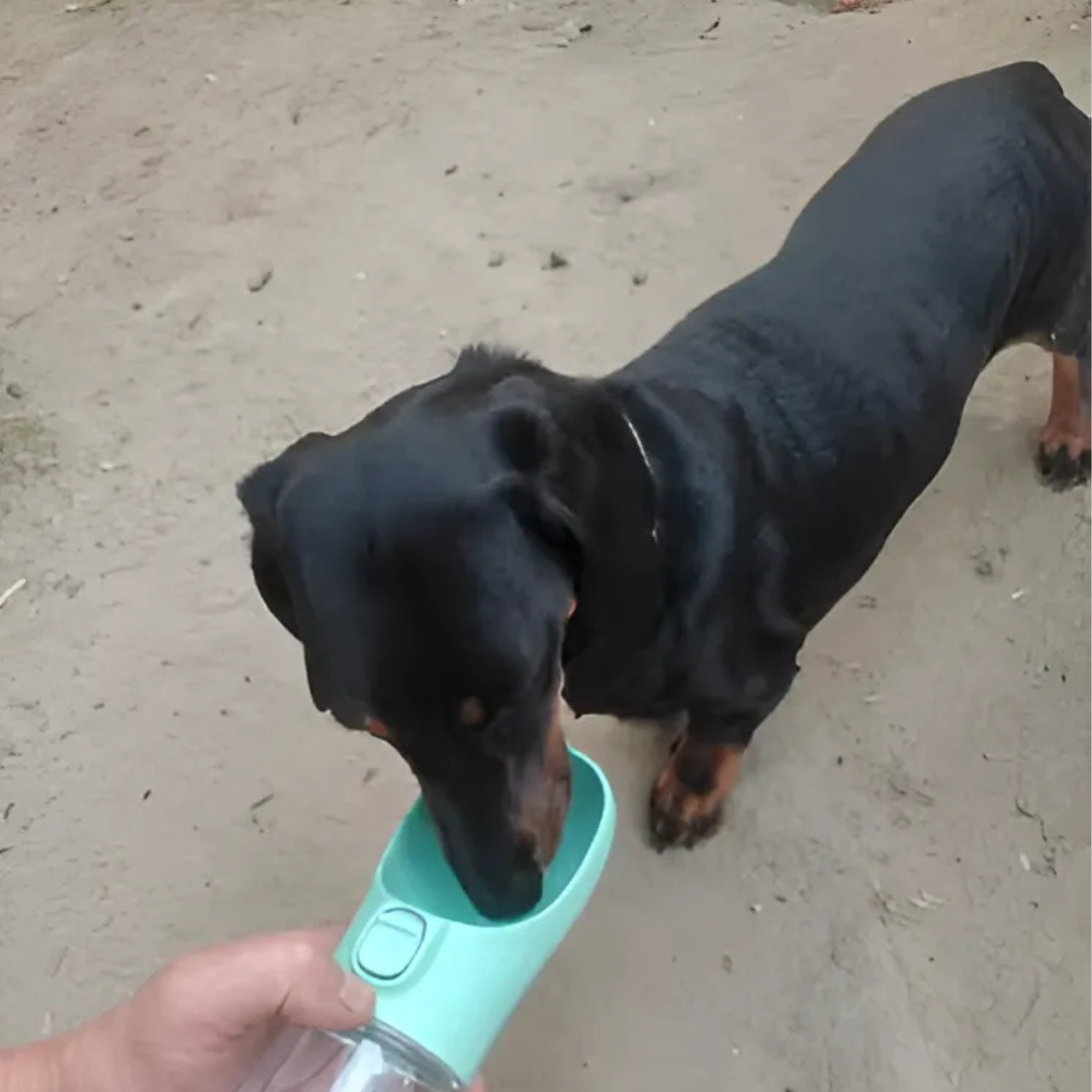 Draagbare Waterfles Onderweg hydrateren zonder zorgen
