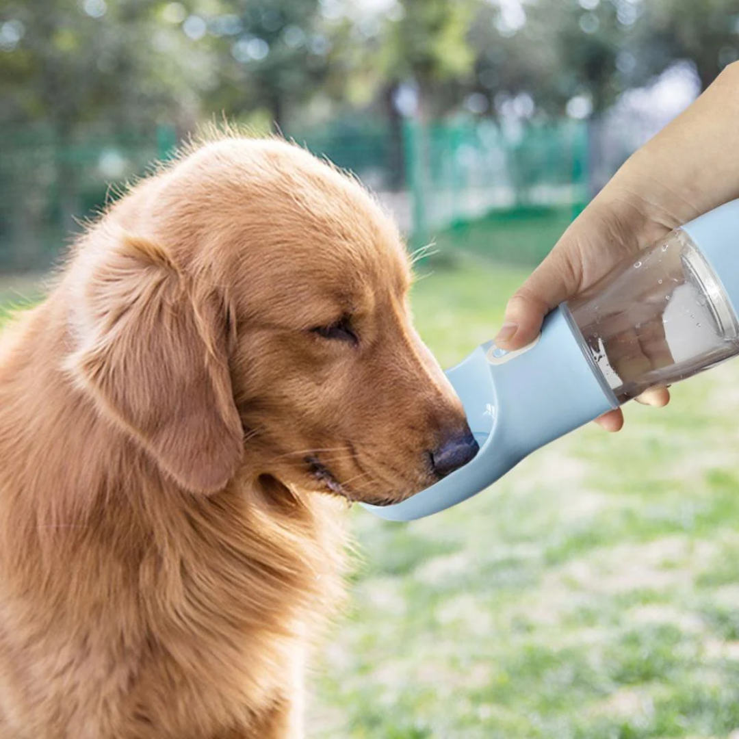 Handige Draagbare Waterfles met Voerbak  – Altijd Vers Water Onderweg!